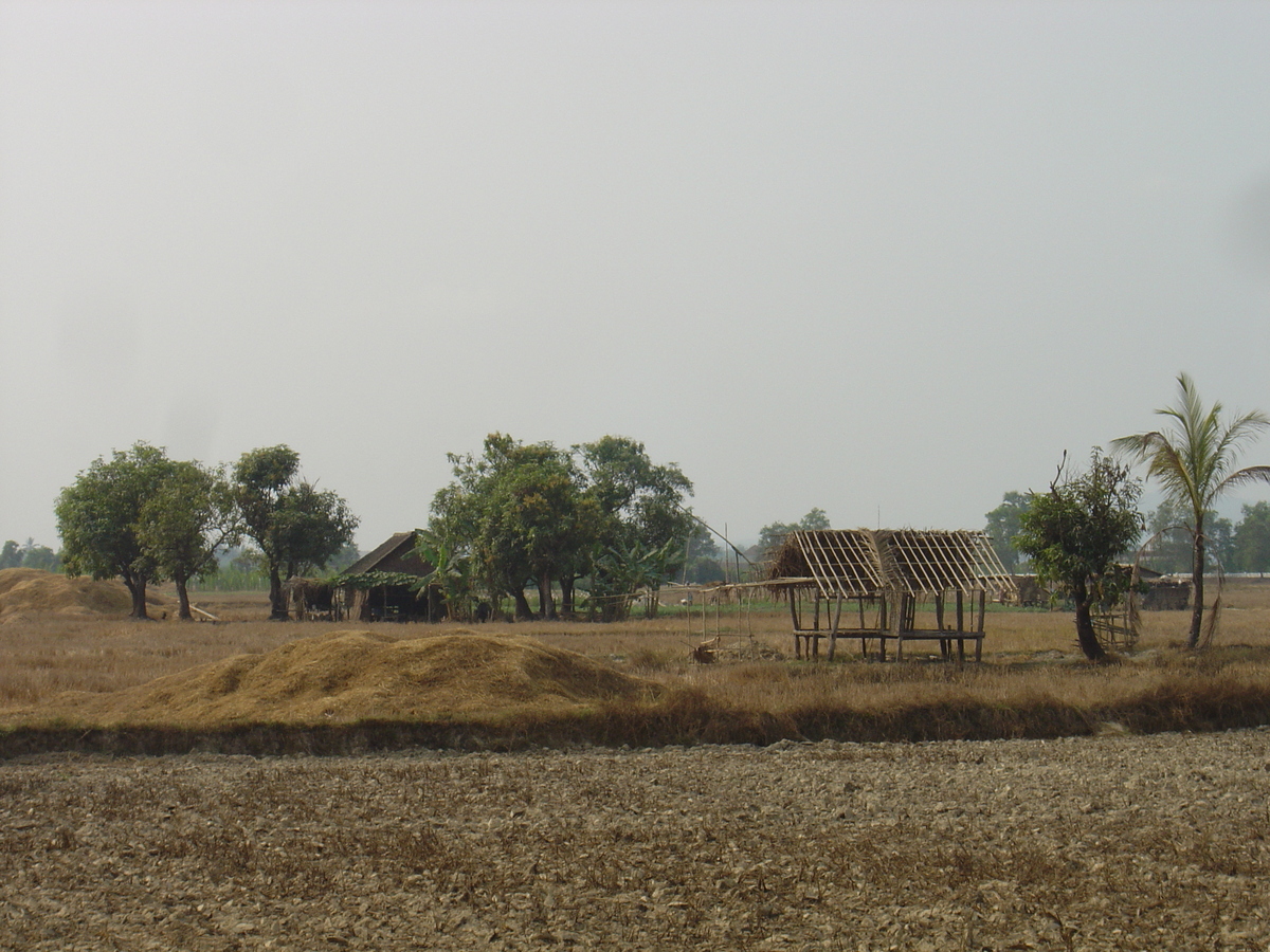 照片 缅甸(Myanmar) 土瓦(Dawei (TAVOY)) 2005-01 15