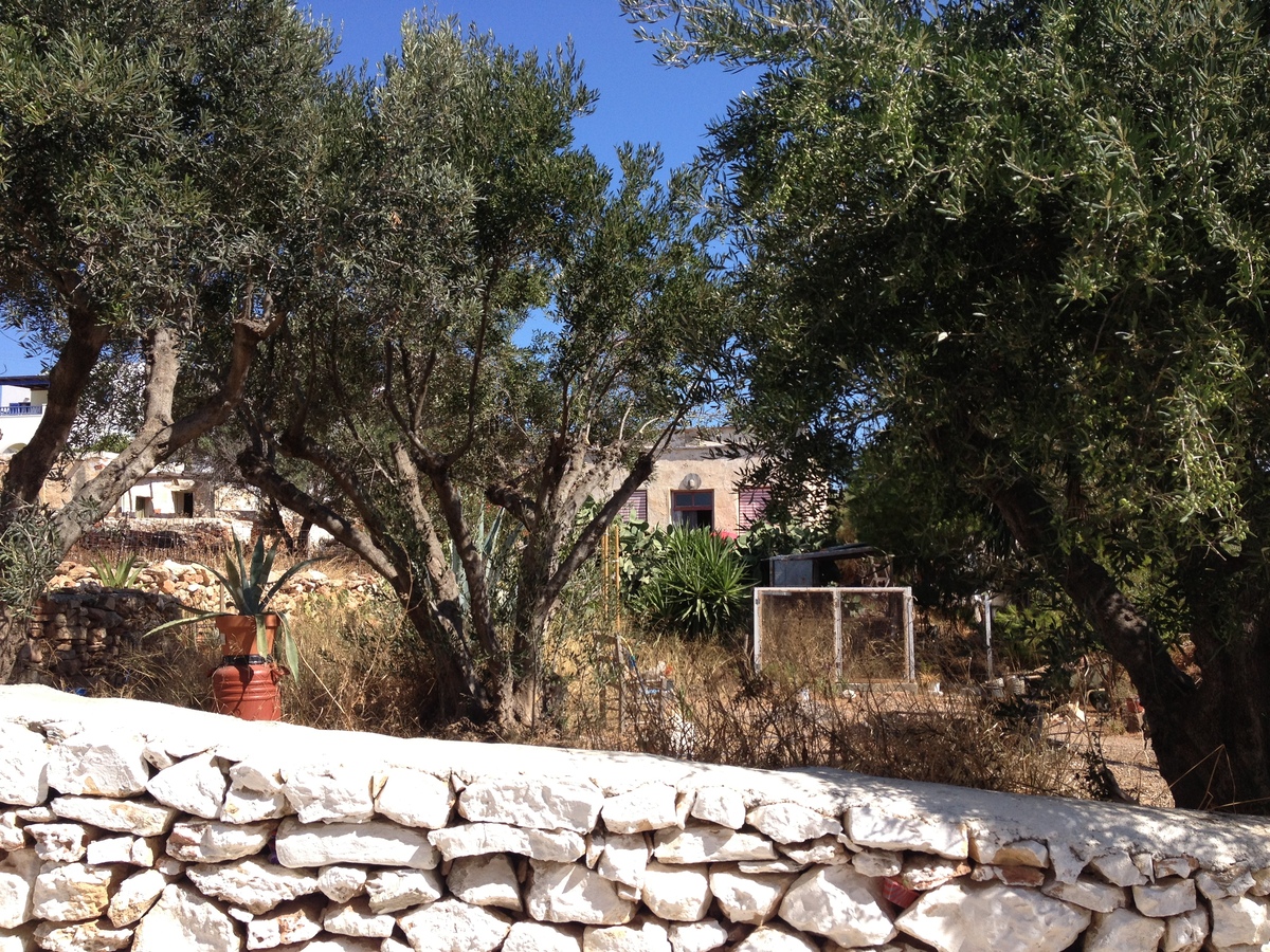 照片 希腊(Greece) 库福尼西亚群岛(Koufonissia) 2014-07 394