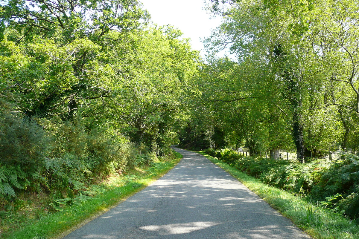 照片 法国(France) 布列塔尼公路(Brittany roads) 2007-08 41