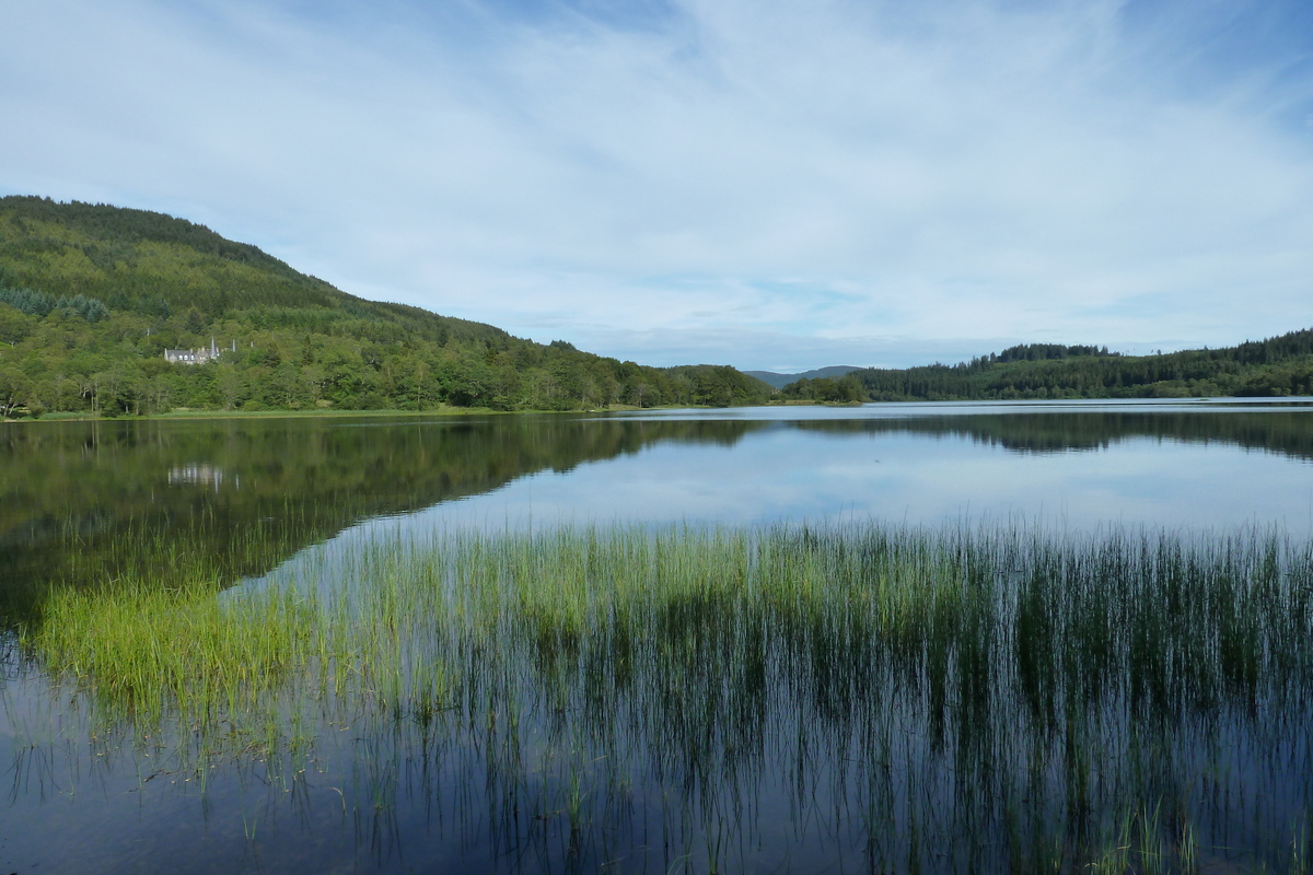 照片 英国(United Kingdom) 特罗萨克斯(The Trossachs) 2011-07 111