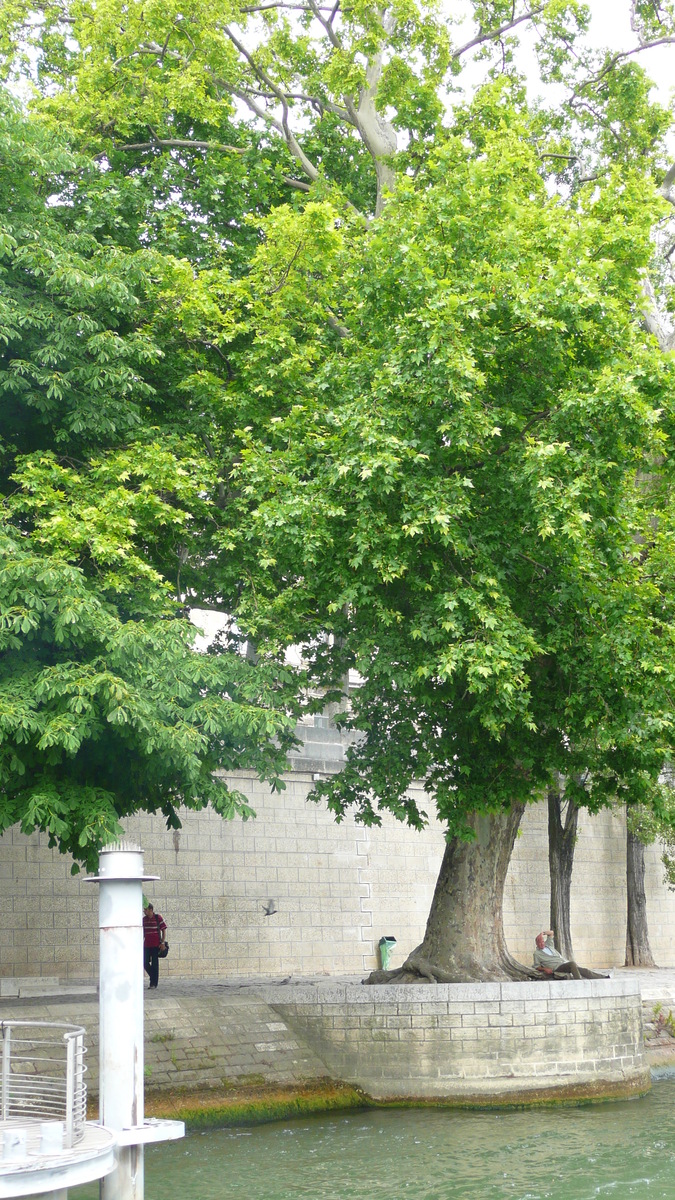 照片 法国(France) 巴黎(Paris) 塞纳河(Seine river) 2007-06 3