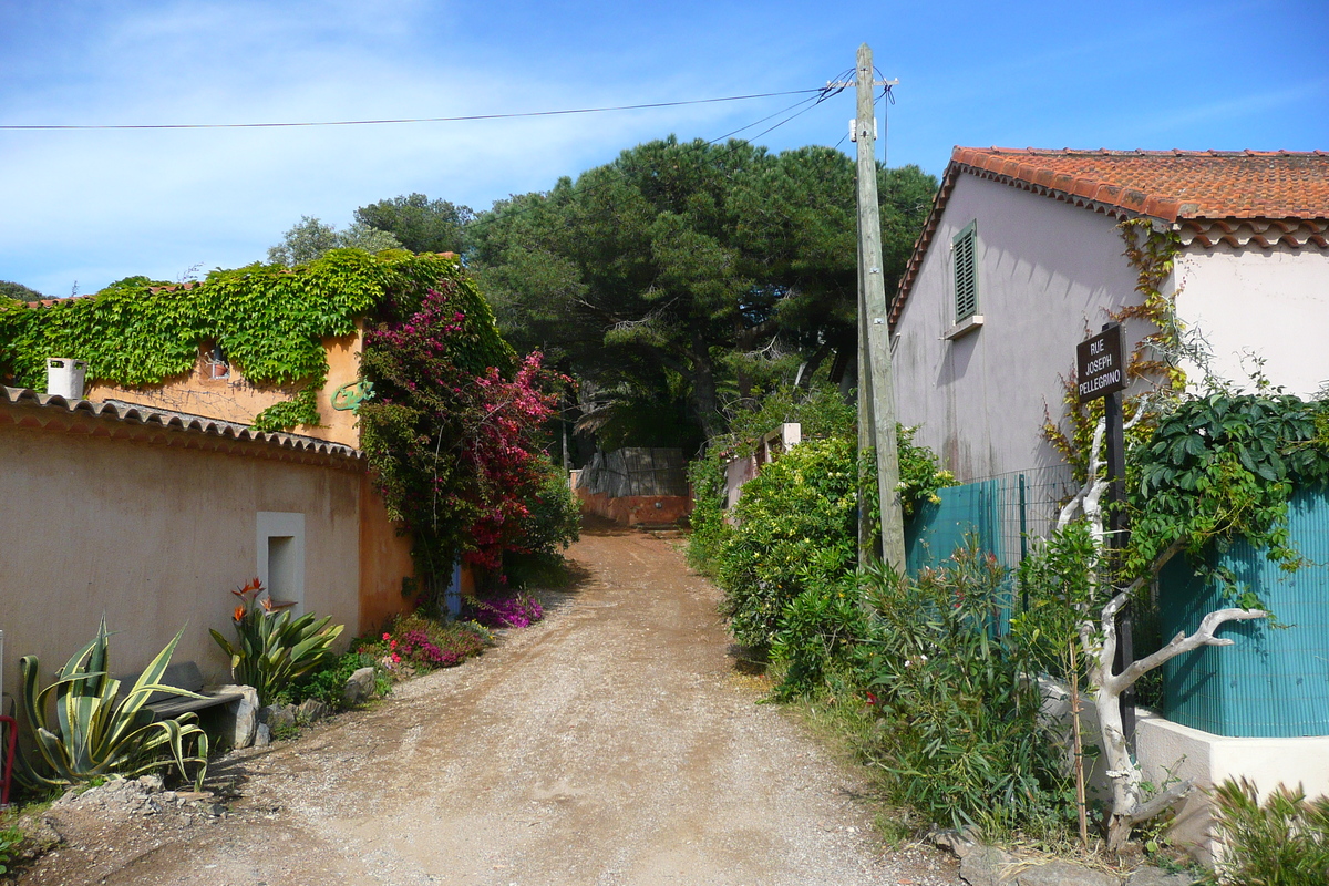 照片 法国(France) 波克罗勒岛(Porquerolles Island) 波克罗勒(Porquerolles) 2008-05 28