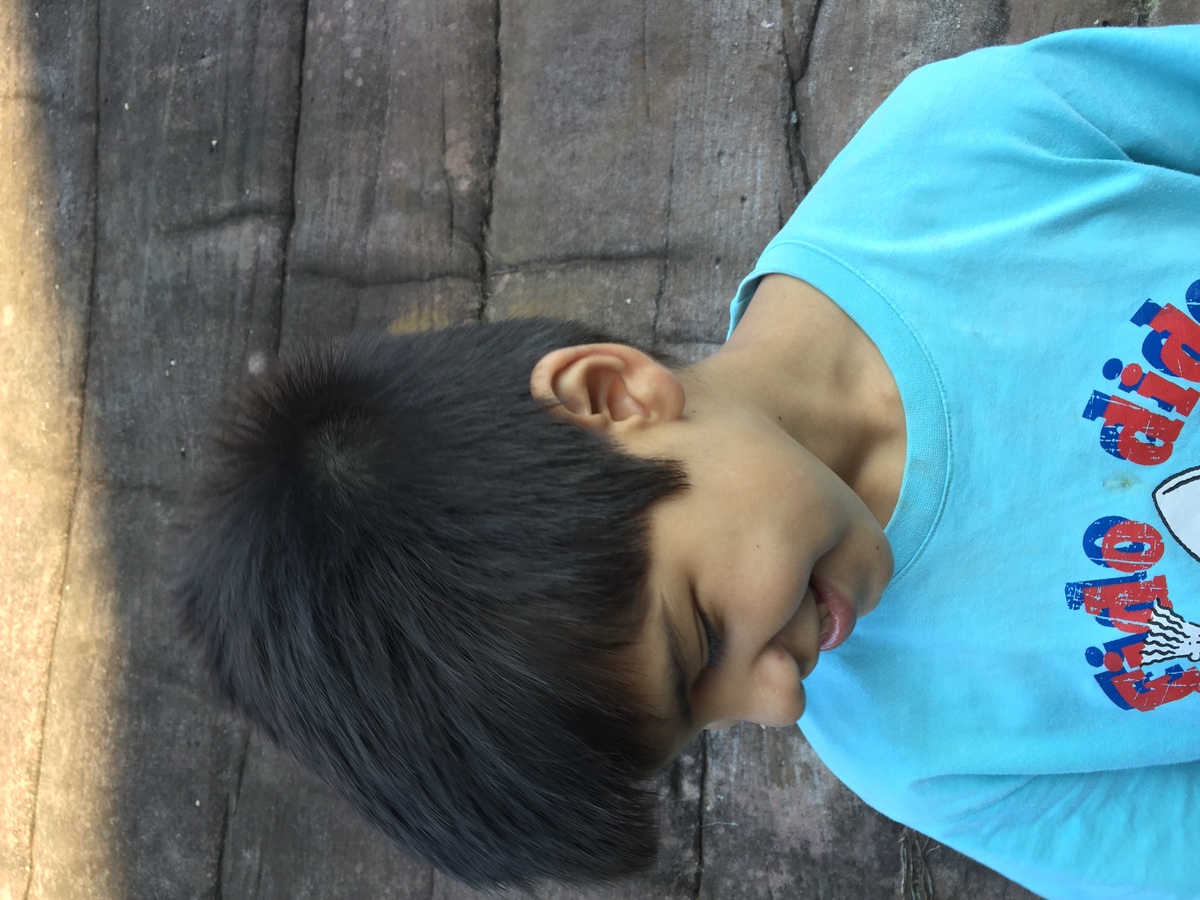 照片 泰国(Thailand) 普欣隆卡国家公园(Phu Hin Rong Kla National Park) 2014-12 306
