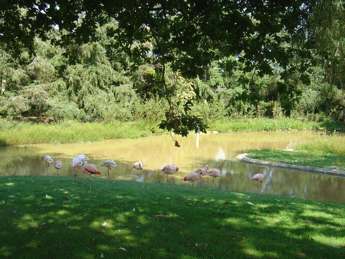 照片 法国(France) 布朗费尔(Branfere) 2004-08 14