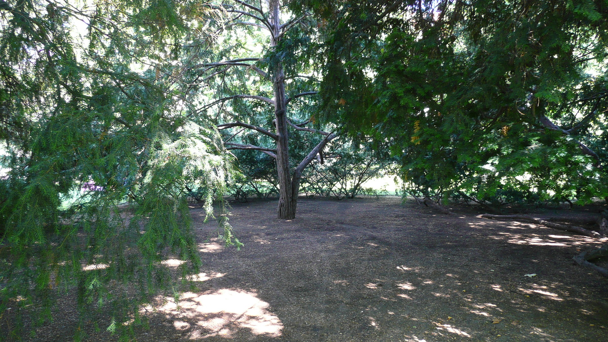 照片 捷克(Czech Republic) 布拉格(Prague) 佐芬花园(Zofin Garden) 2007-07 9