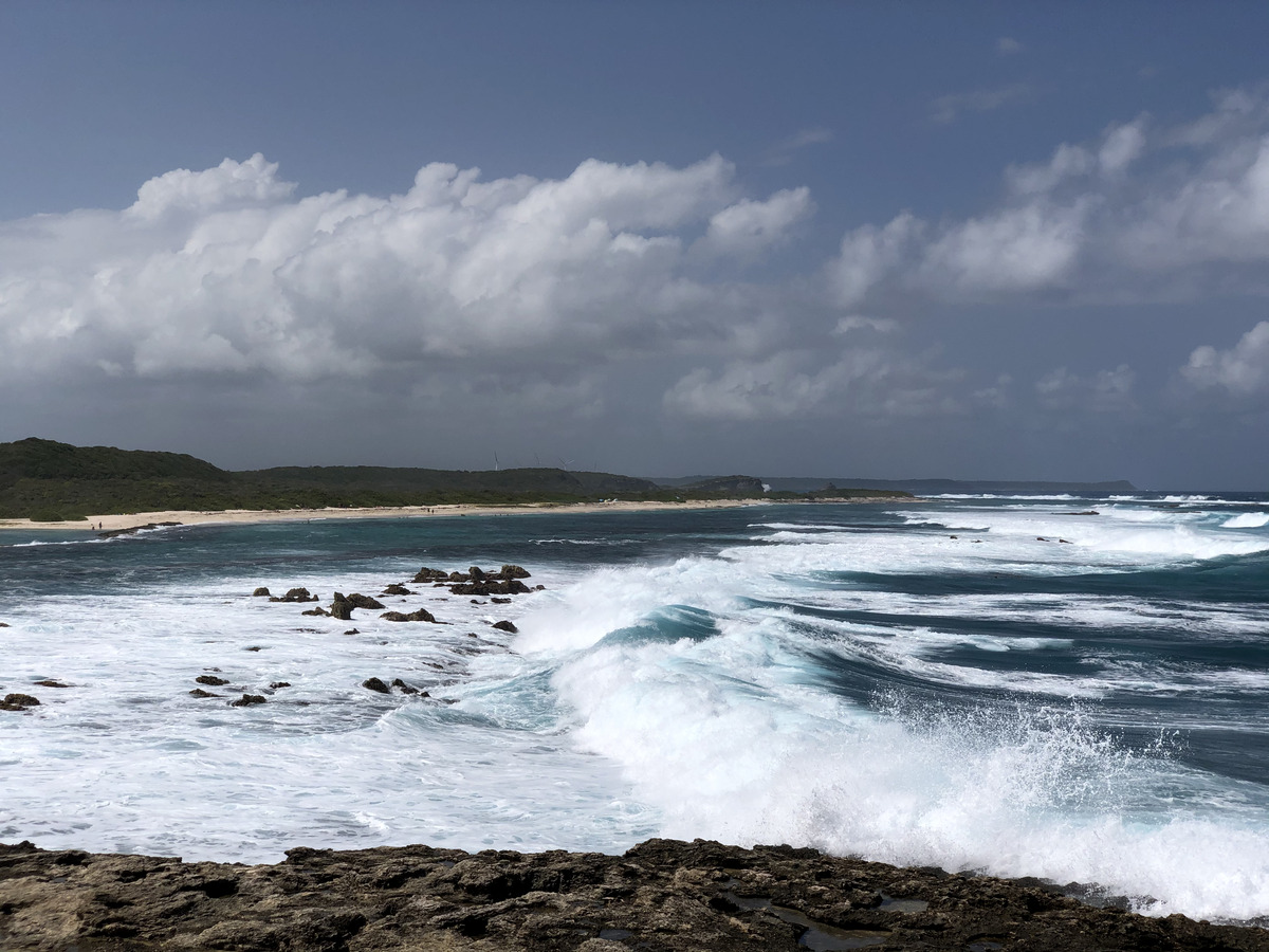 照片 瓜德罗普(Guadeloupe) 城堡角(Castle Point) 2021-02 274