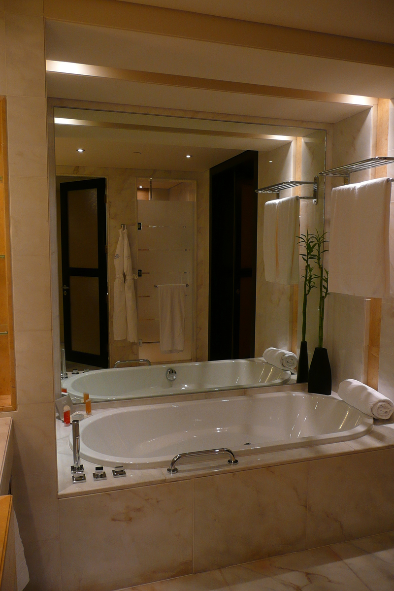照片 阿联酋(United Arab Emirates) 迪拜(Dubai) 阿联酋购物中心凯宾斯基酒店(Kempinski Hotel Mall of the Emirates) 2009-01 31