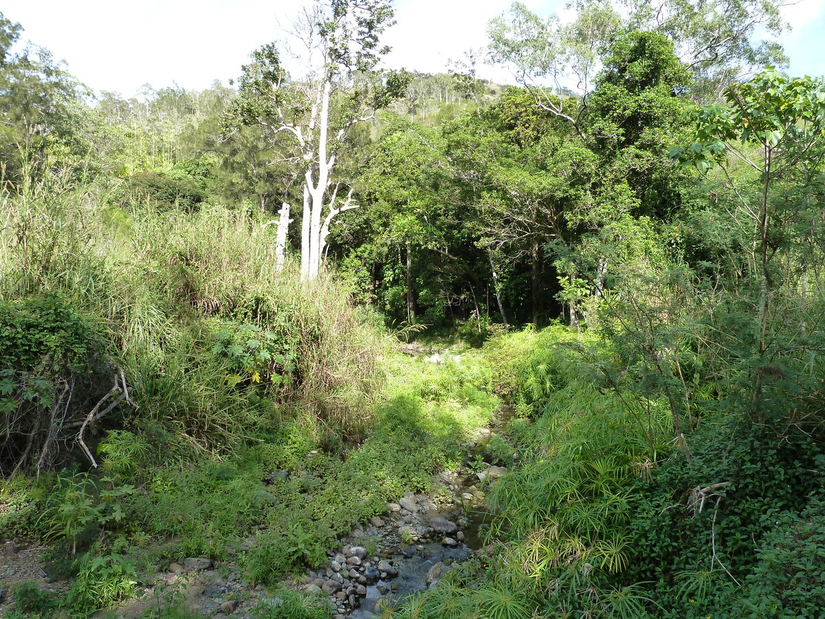 照片 新喀里多尼亚(New Caledonia) 通图塔至蒂奥公路(Tontouta to Thio road) 2010-05 128
