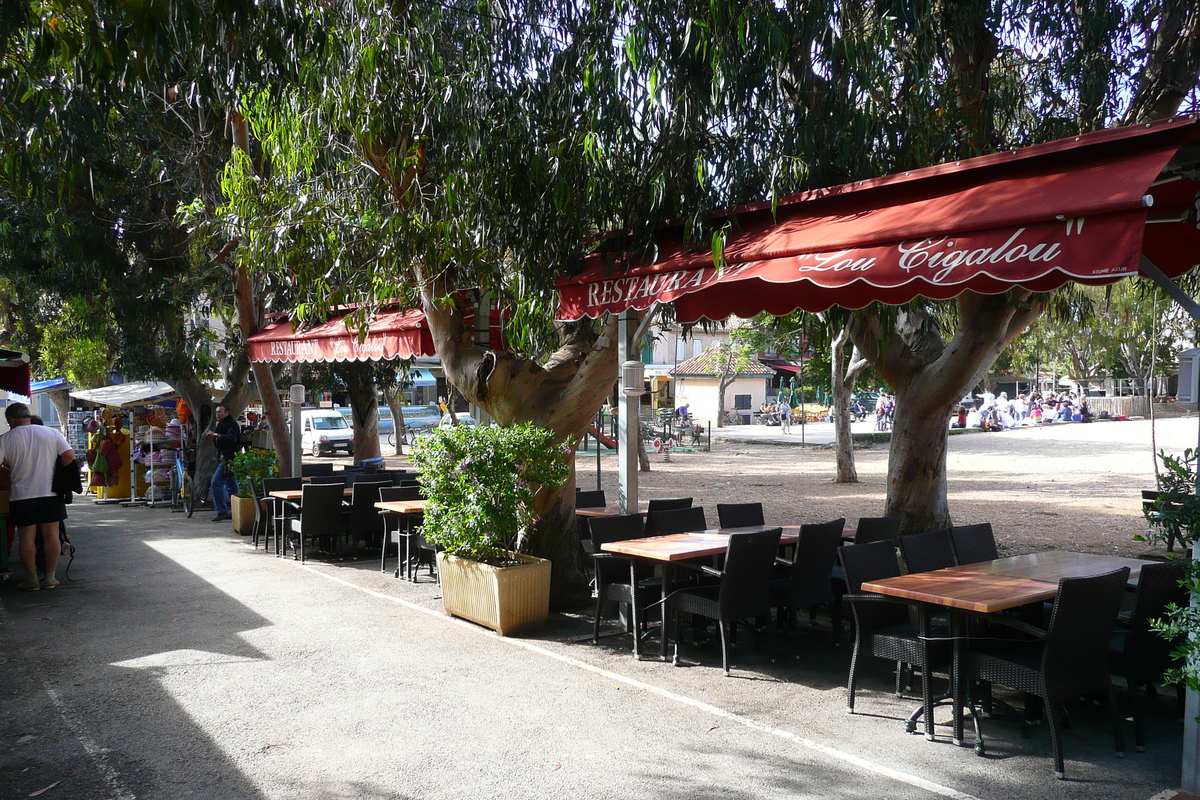 照片 法国(France) 波克罗勒岛(Porquerolles Island) 波克罗勒(Porquerolles) 2008-05 15