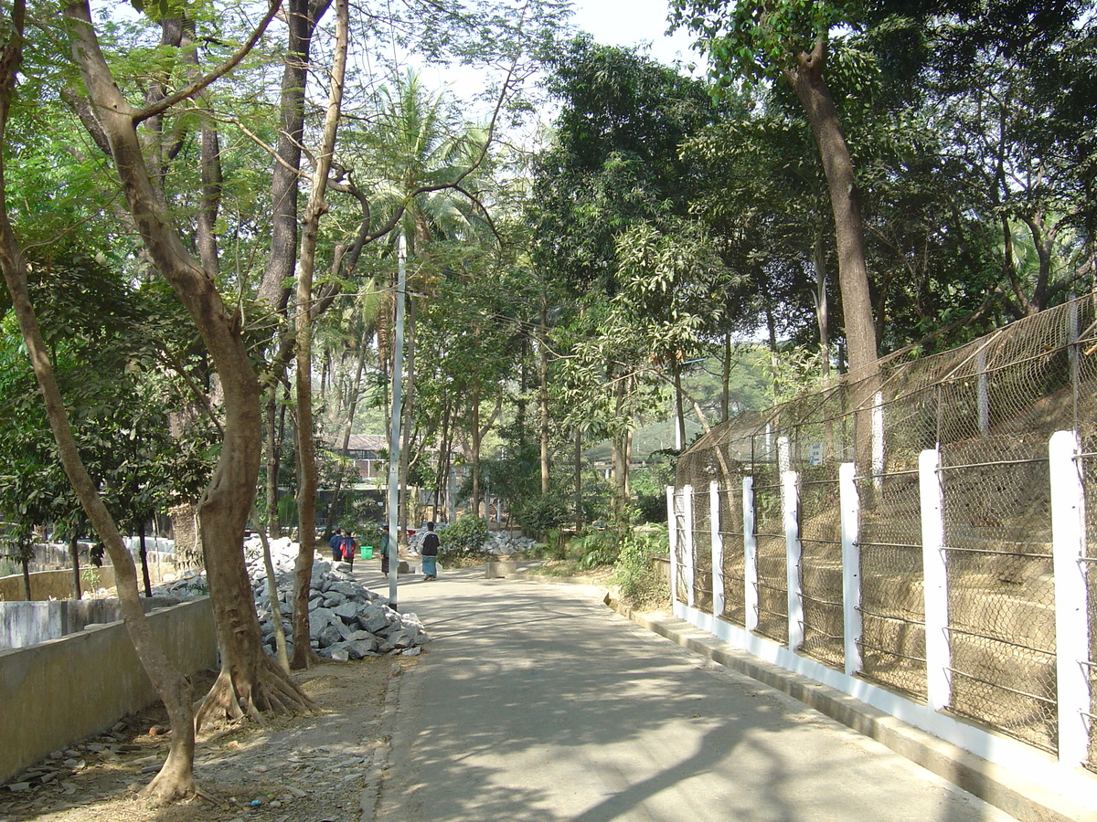 照片 缅甸(Myanmar) 仰光(Yangon) 2005-01 100