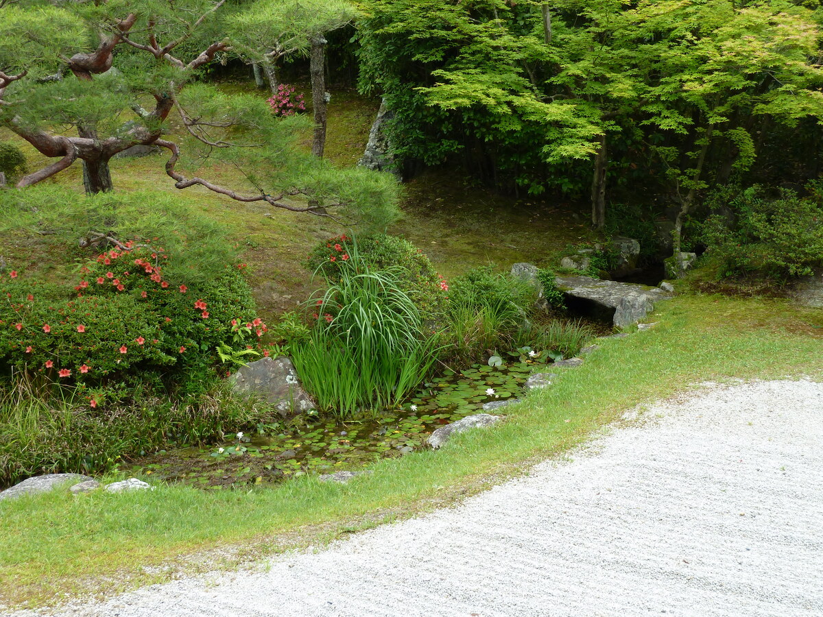 照片 日本(Japan) 京都(Kyoto) 仁和寺御殿(Ninna ji imperial Residence) 2010-06 40