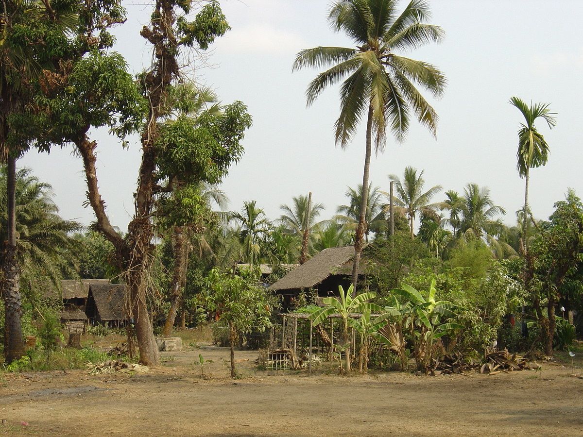 照片 缅甸(Myanmar) 土瓦(Dawei (TAVOY)) 2005-01 27