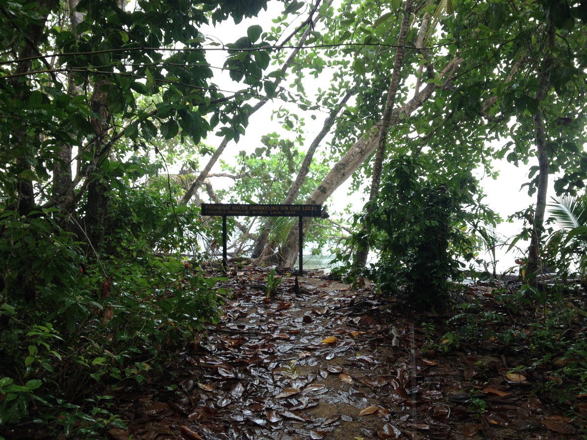 照片 哥斯达黎加(Costa Rica) 卡维塔(Cahuita) 2015-03 271