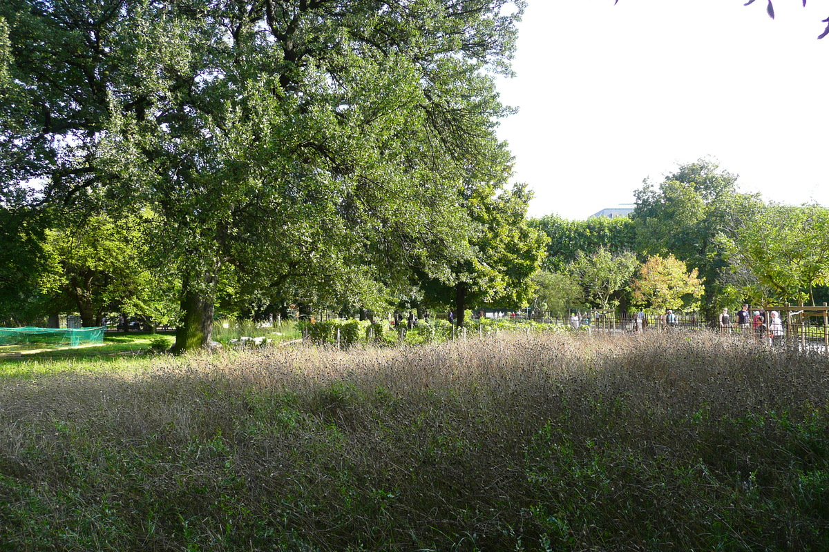照片 法国(France) 巴黎(Paris) 巴黎植物园(Jardin des Plantes) 2007-08 145