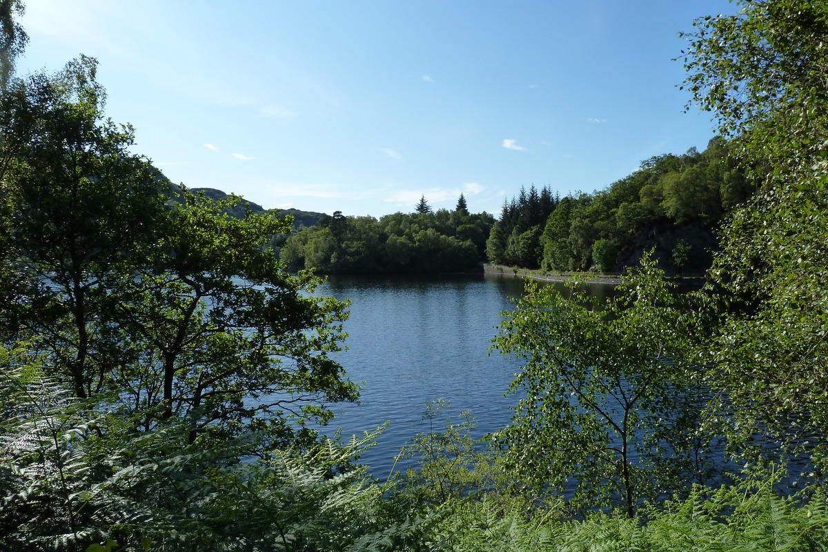 照片 英国(United Kingdom) 特罗萨克斯(The Trossachs) 2011-07 46