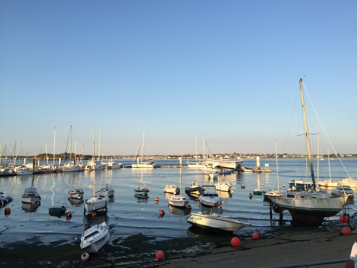 照片 法国(France) 拉尔莫尔海滩(Larmor-Plage) 2016-08 1