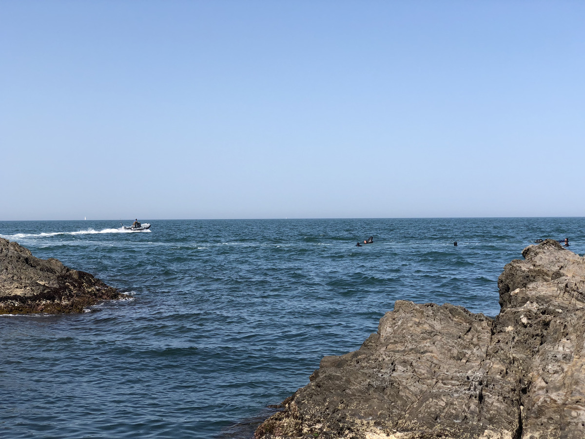 照片 法国(France) 科利乌尔(Collioure) 2018-04 118