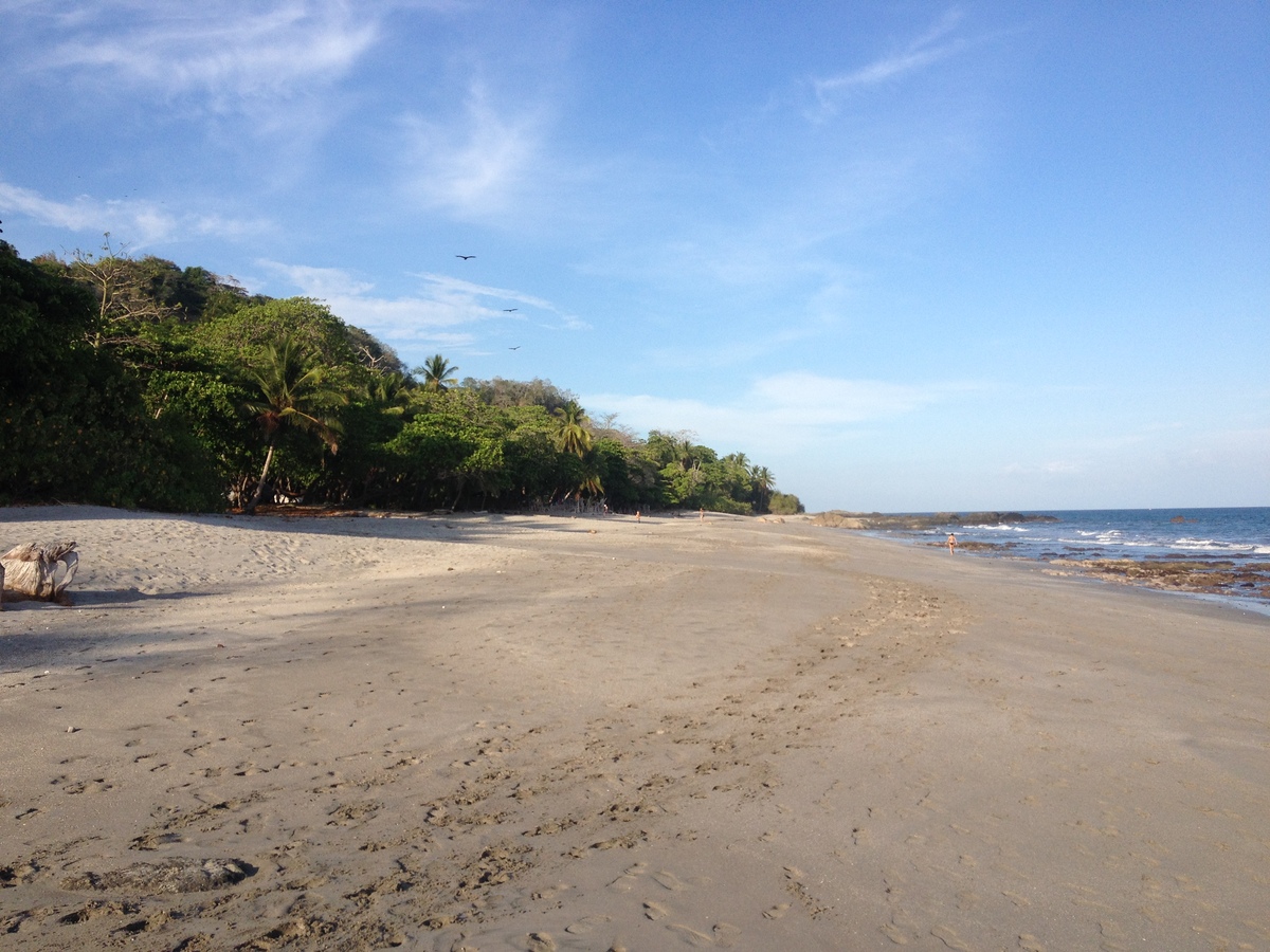 照片 哥斯达黎加(Costa Rica) 蒙特苏马(Montezuma) 2015-03 430