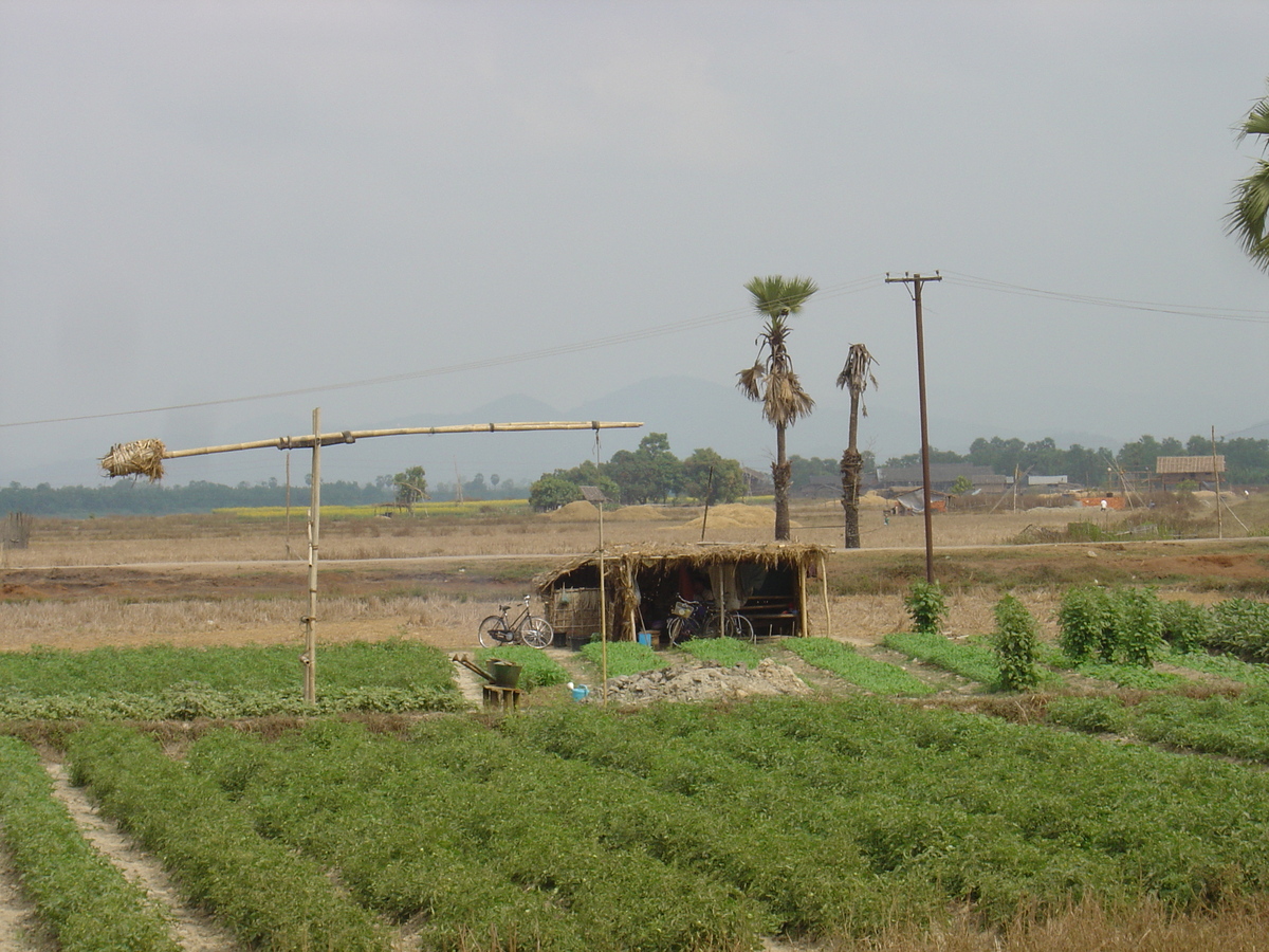 照片 缅甸(Myanmar) 土瓦至茂马干海滩公路(Road from Dawei to Maungmagan beach) 2005-01 26