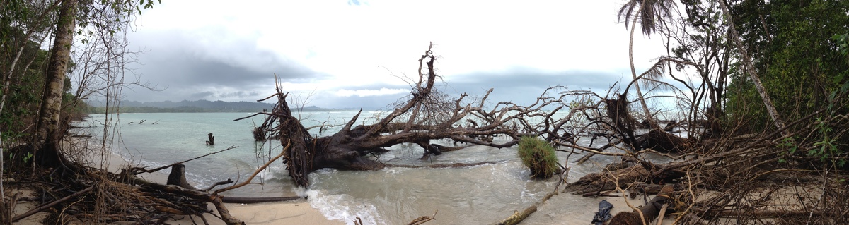 照片 哥斯达黎加(Costa Rica) 卡维塔(Cahuita) 2015-03 227