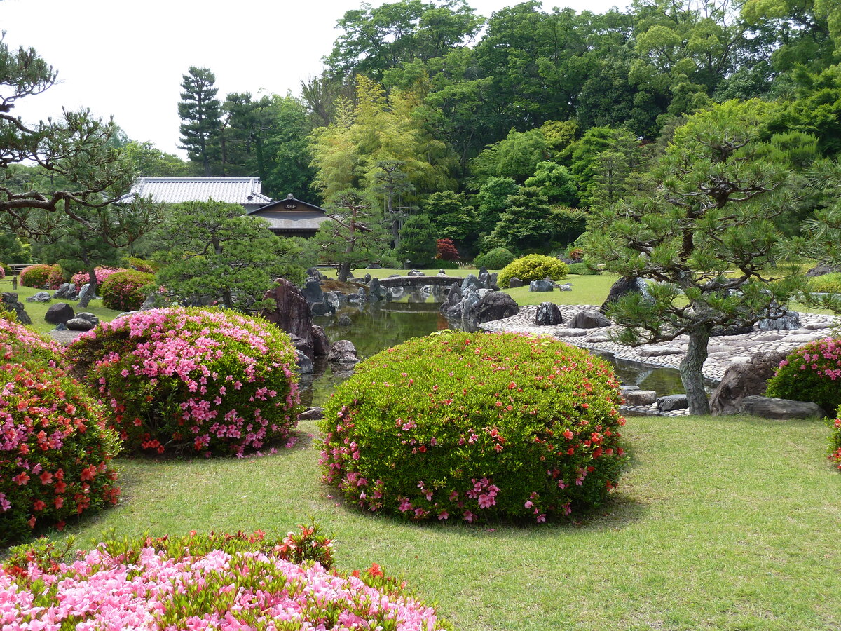 照片 日本(Japan) 京都(Kyoto) 二条城(Nijo Castle) 2010-06 124