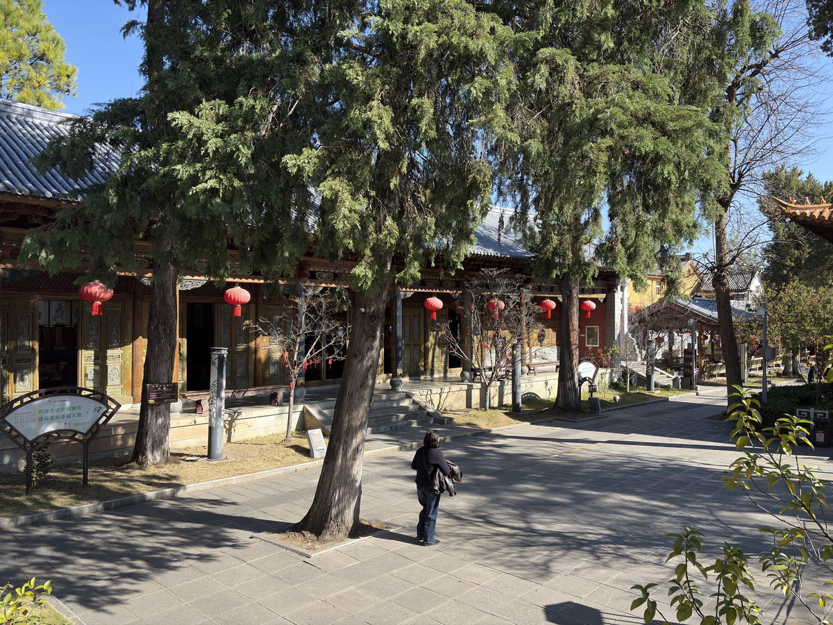 照片 中国(China) 大理(Dali) 2026-01 372
