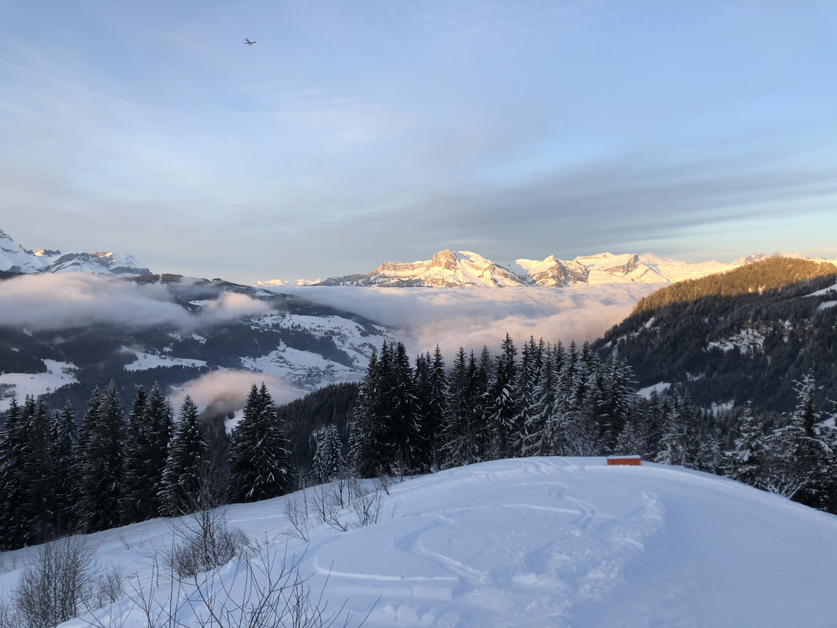 照片 法国(France) 阿尔利河畔普拉(Praz sur Arly) 2019-12 146