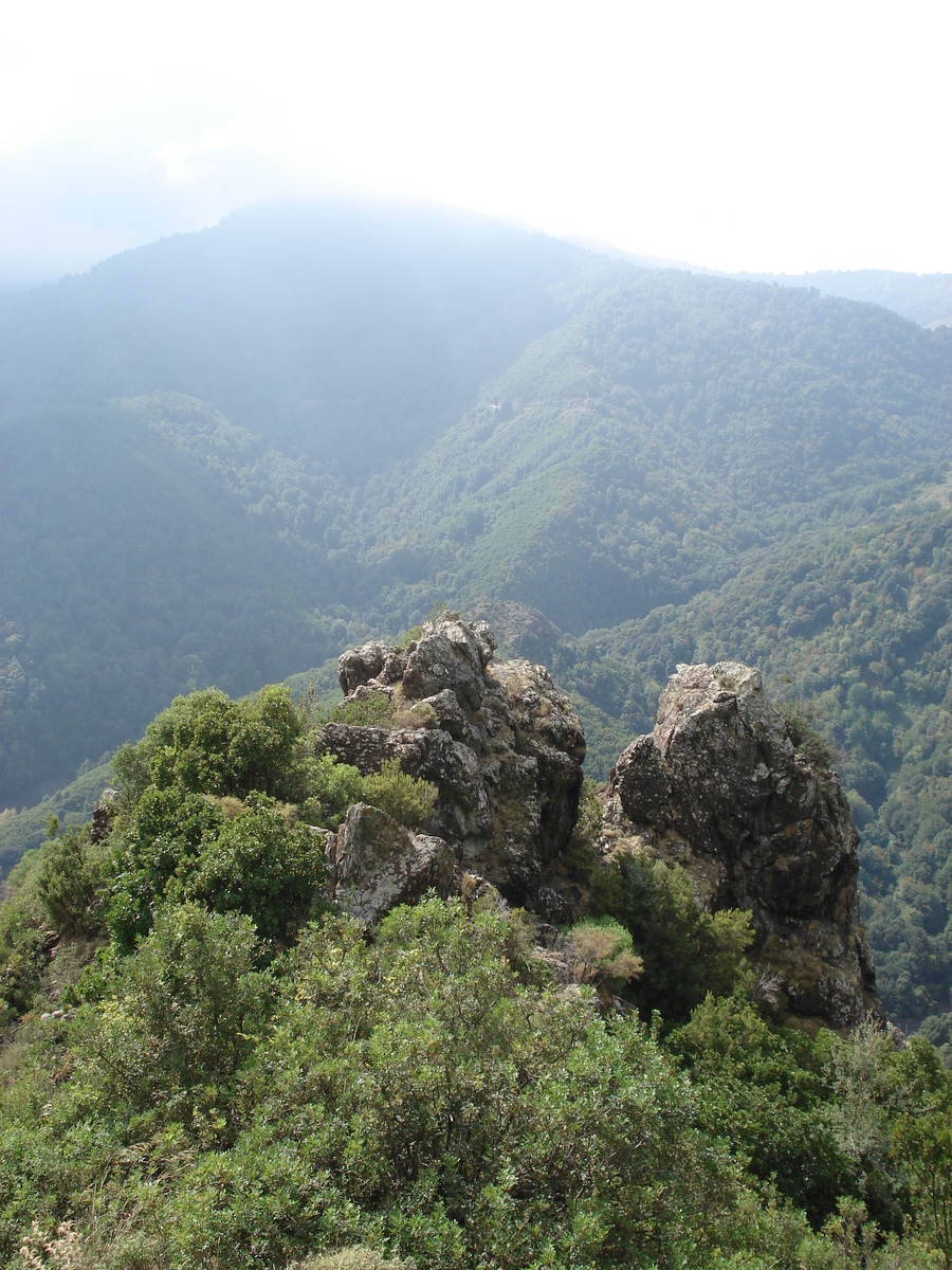 照片 法国(France) 科西嘉岛(Corsica) 阿莱萨尼山谷(Valle d'alesani) 2006-09 55