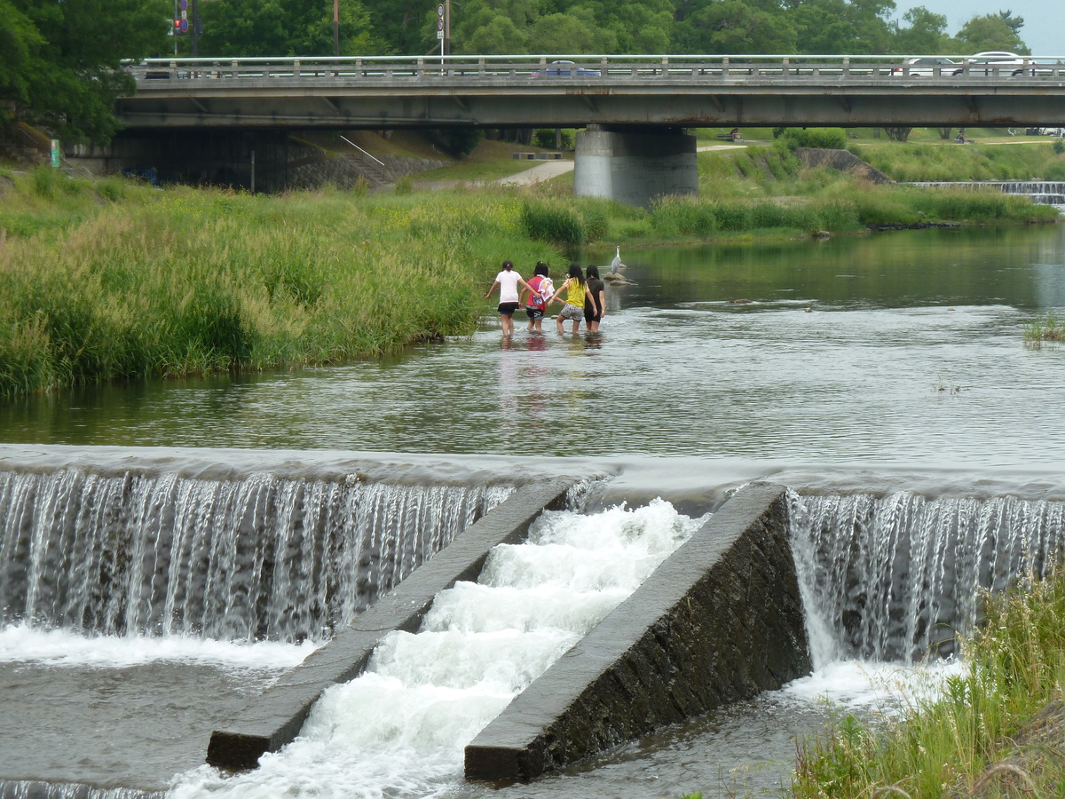 照片 日本(Japan) 京都(Kyoto) 鸭川(Kamo River) 2010-06 26