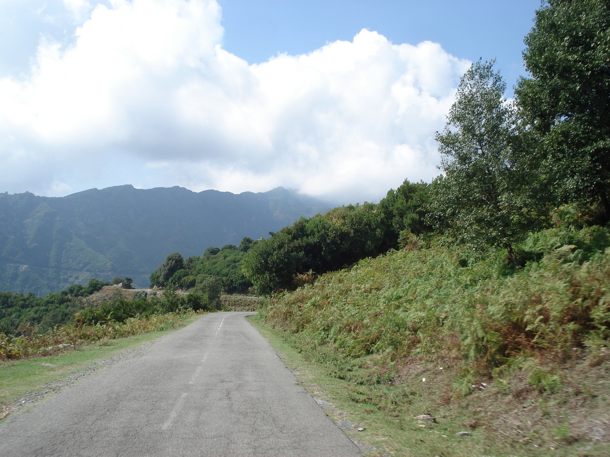 照片 法国(France) 科西嘉岛(Corsica) 阿莱萨尼山谷(Valle d'alesani) 2006-09 62