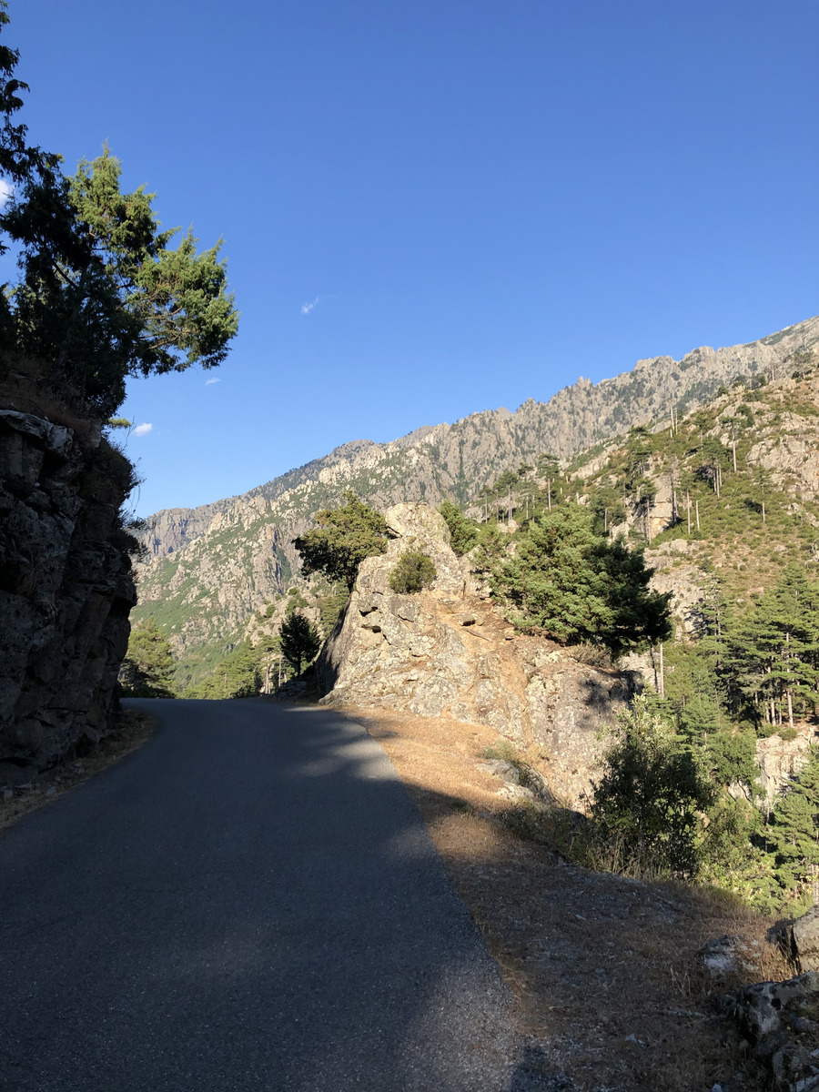 照片 法国(France) 科西嘉岛(Corsica) 雷斯托尼卡山谷(La Restonica) 2020-07 7