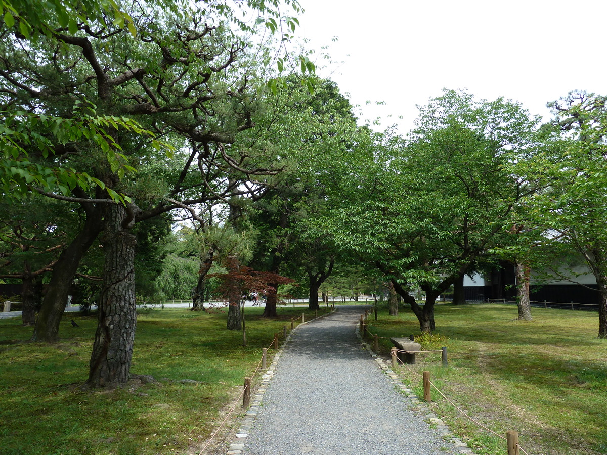 照片 日本(Japan) 京都(Kyoto) 二条城(Nijo Castle) 2010-06 26