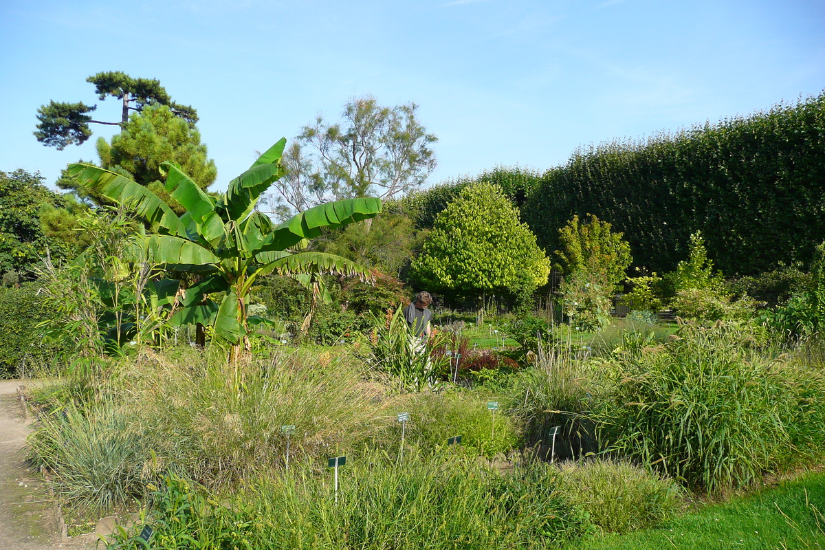 照片 法国(France) 巴黎(Paris) 巴黎植物园(Jardin des Plantes) 2007-08 109
