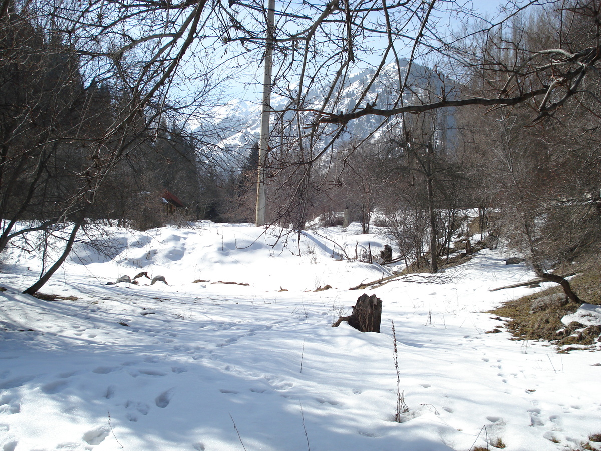 照片 哈萨克斯坦(Kazakhstan) 伊犁阿拉套国家公园(Ile Alatau National Park) 2007-03 35