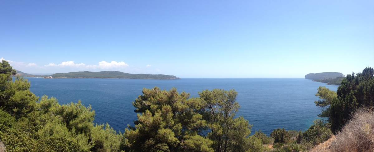 照片 意大利(Italy) 撒丁岛(Sardinia) 孔特港地区自然公园(Porto Conte Regional Natural Park) 2015-06 22