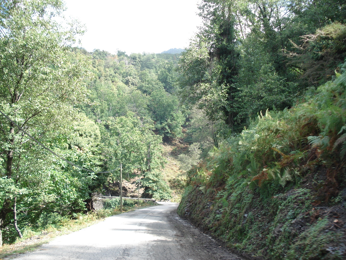 照片 法国(France) 科西嘉岛(Corsica) 阿莱萨尼山谷(Valle d'alesani) 2006-09 82