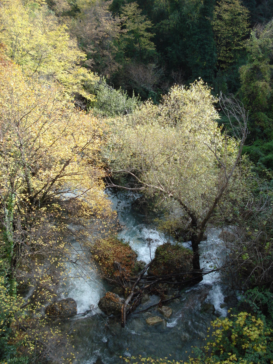 照片 法国(France) 蔚蓝海岸(French Riviera) 旺斯至圣让内公路(Vence to St. Jeannet Road) 2006-12 28