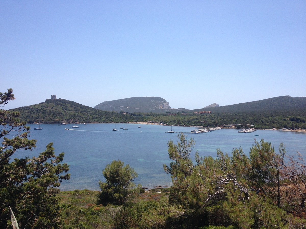 照片 意大利(Italy) 撒丁岛(Sardinia) 孔特港地区自然公园(Porto Conte Regional Natural Park) 2015-06 27