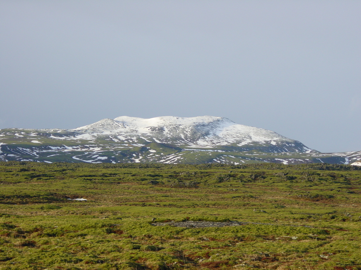 照片 冰岛(Iceland) 39号公路：前往雷克雅未克(Road 39 to Reykjavik) 2003-03 13