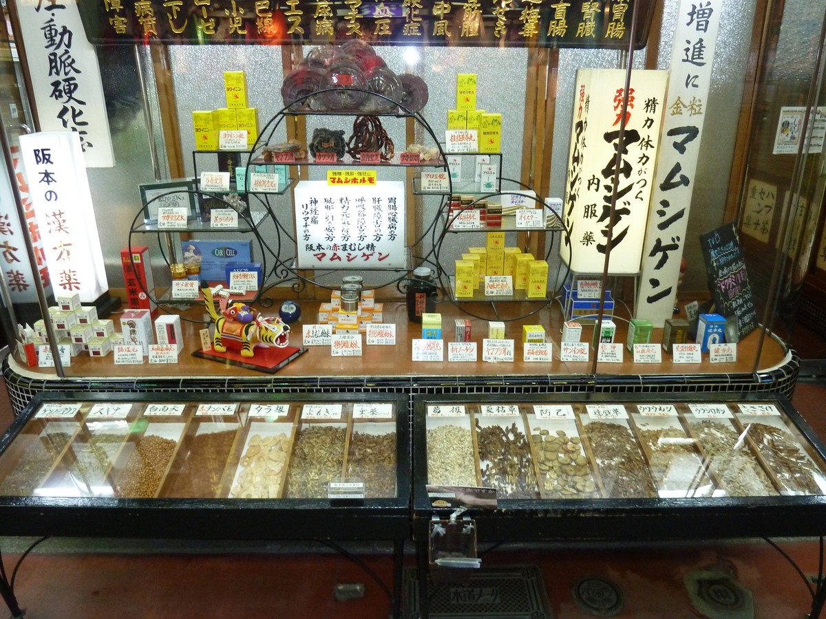 照片 日本(Japan) 京都(Kyoto) 四条通(Shijo dori) 2010-06 78