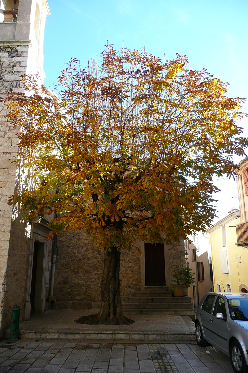 照片 法国(France) 圣让内(Saint Jeannet) 2007-11 36