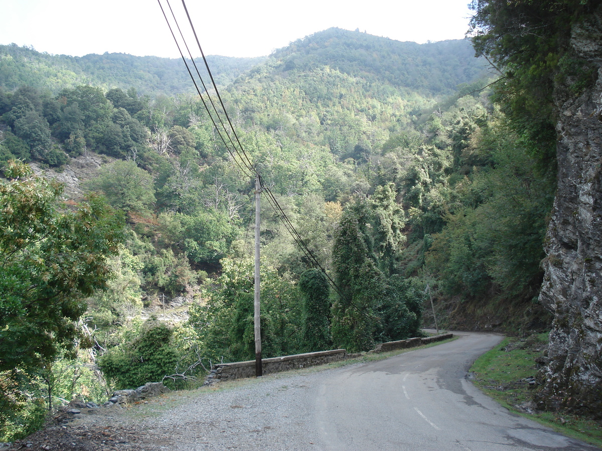 照片 法国(France) 科西嘉岛(Corsica) 阿莱萨尼山谷(Valle d'alesani) 2006-09 73