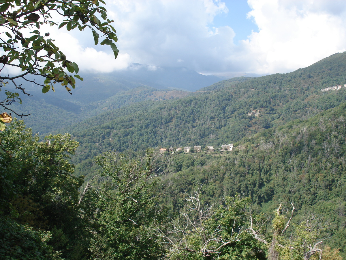 照片 法国(France) 科西嘉岛(Corsica) 阿莱萨尼山谷(Valle d'alesani) 2006-09 52