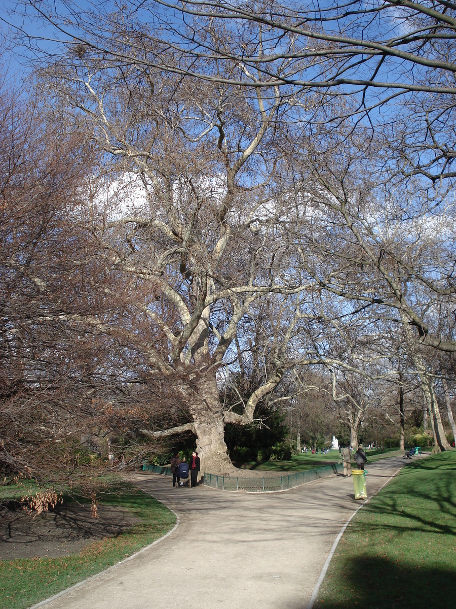 照片 法国(France) 巴黎(Paris) 蒙索公园(Monceau Garden) 2006-03 44
