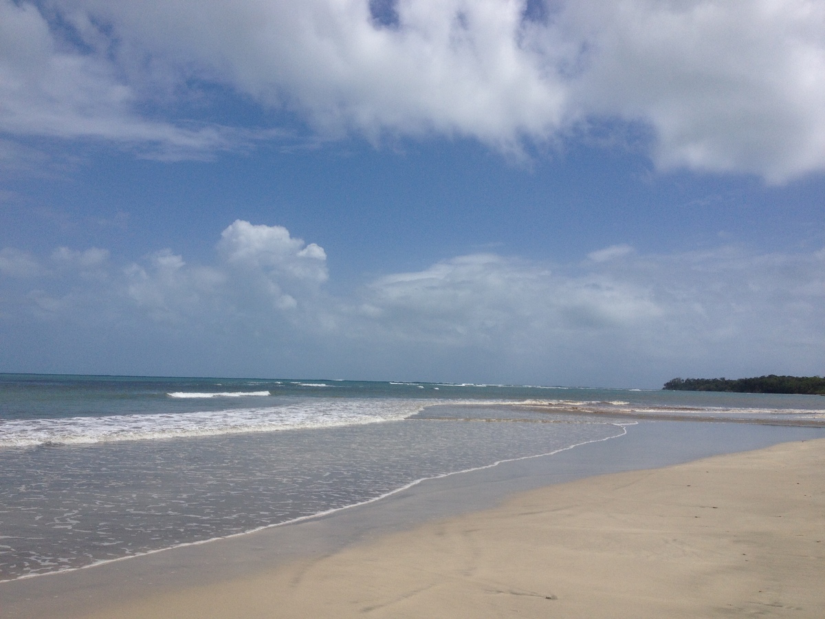 照片 哥斯达黎加(Costa Rica) 卡维塔(Cahuita) 2015-03 90