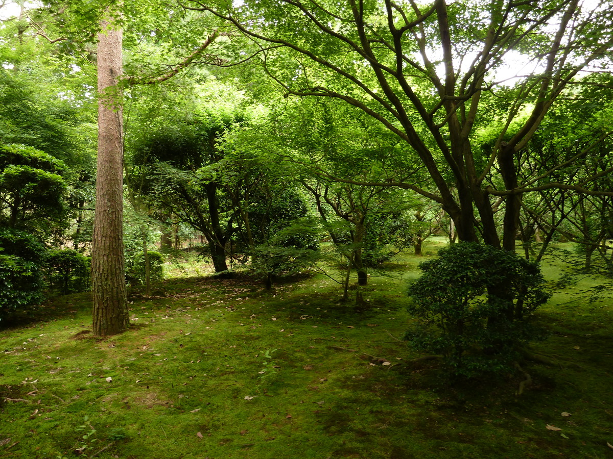 照片 日本(Japan) 京都(Kyoto) 龙安寺(Ryoanji Temple) 2010-06 20