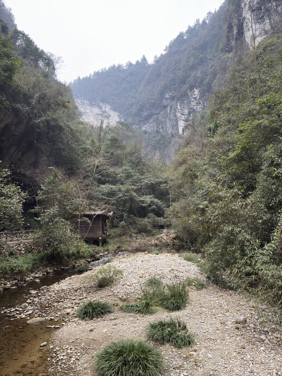 照片 中国(China) 张家界(Zhangjiajie) 大峡谷(Grand Canyon) 2026-01 26