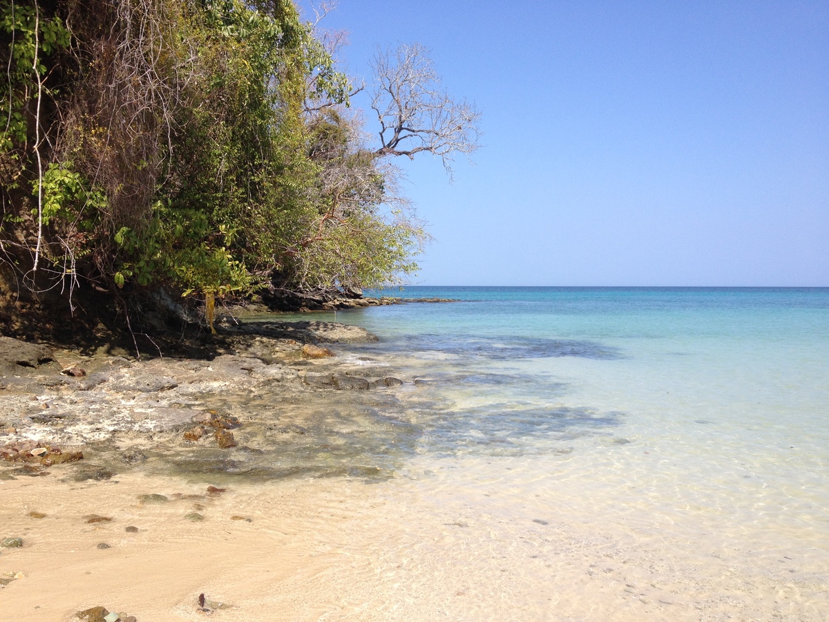 照片 巴拿马(Panama) 孔塔多拉岛(Contadora Island) 2015-03 156