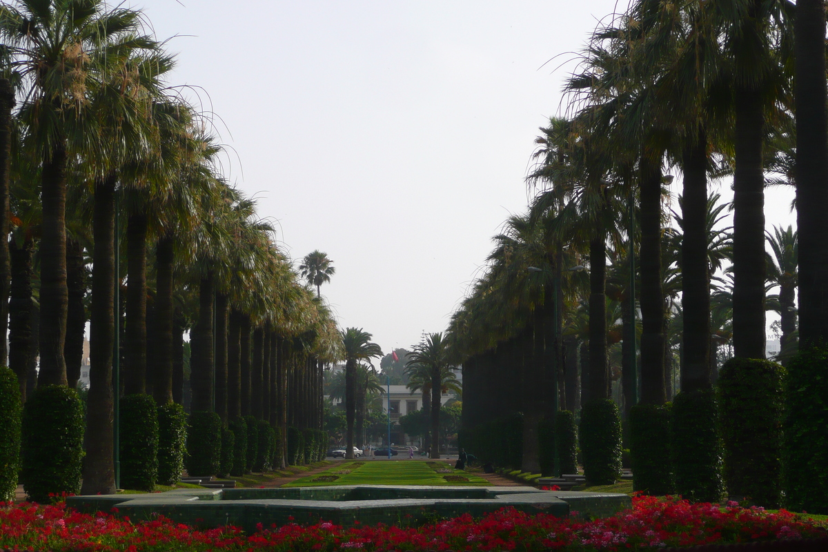 照片 摩洛哥(Morocco) 卡萨布兰卡(Casablanca) 卡萨布兰卡市中心(Casablanca Center) 2008-07 32