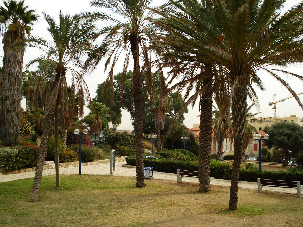 照片 以色列(Israel) 雅法(Jaffa) 2006-12 172